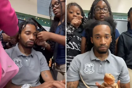 students unbraiding teachers hair fired